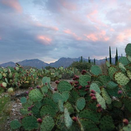 Canyon Ranch Tucson Mount Lemmont Exterior foto