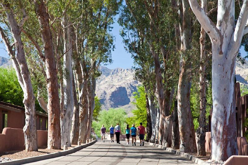 Canyon Ranch Tucson Mount Lemmont Exterior foto